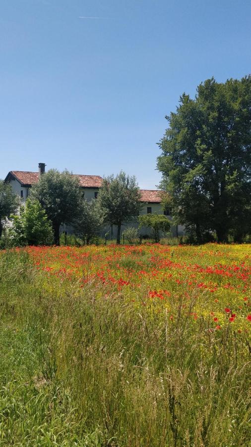 Hotel Porte Di Venezia, Tessera Aeroporto Favaro Veneto Exterior foto